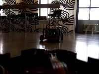 Dataset Image