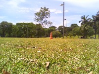traffic cone project thumbnail