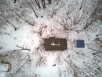 Dataset Image