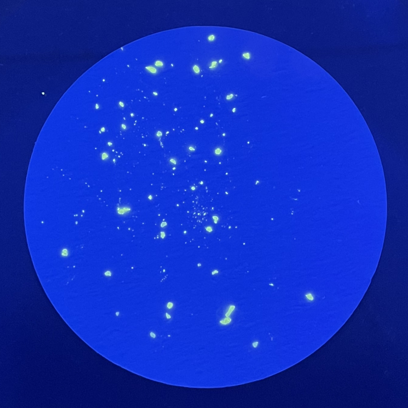 Microplastic Object Detection Dataset by Bois Workspace MPs