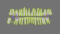 Annotation Visualization