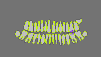 Annotation Visualization