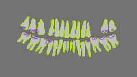 Annotation Visualization