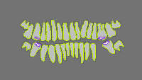 Annotation Visualization