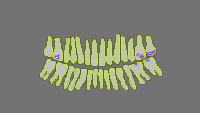 Annotation Visualization