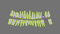 Annotation Visualization