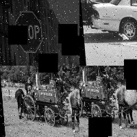 Dataset Image
