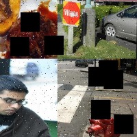 Dataset Image