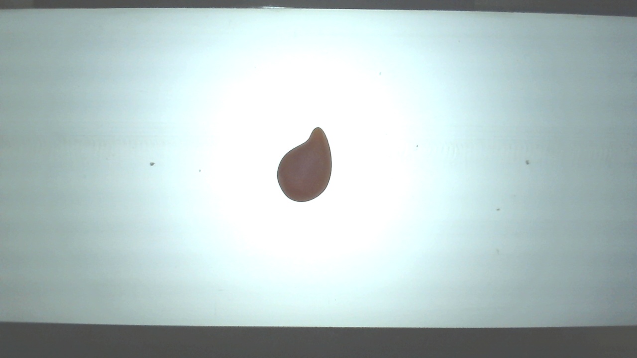 RGB_candy Object Detection Dataset by jamesTsai