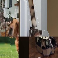Dataset Image
