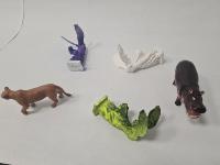 C-Farm project thumbnail