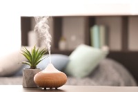 humidiffier project thumbnail