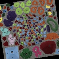 Climbing route detection  project thumbnail