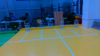 Dataset Image