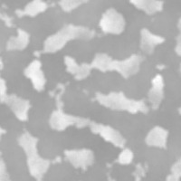 segmentation project thumbnail