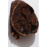 CNN Tipo de grano CACAO project thumbnail