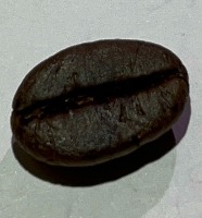 clasifikasi biji arabika robusta project thumbnail
