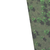 palmsv1 project thumbnail