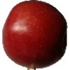 Fruit Classification project thumbnail
