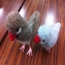 Chicken project thumbnail