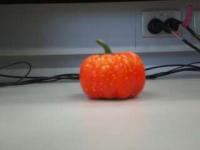 fruits project thumbnail
