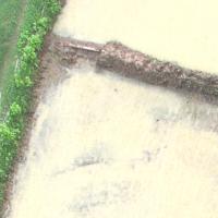 vegetation detection project thumbnail