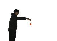 5 project thumbnail
