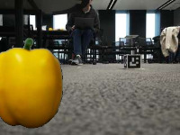 Dataset Image
