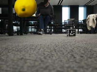 Dataset Image