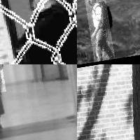 Dataset Image