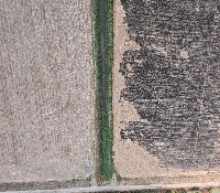 Straw_Label_v1 project thumbnail