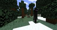 Minecraft_Detection project thumbnail