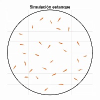 salmons_digitales project thumbnail