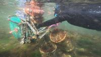 marine debris project thumbnail