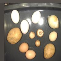 Dataset Image