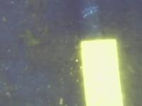 new_linetracking project thumbnail