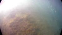 aura_testvideo project thumbnail