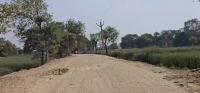 Road-Side Pole-Tree Detection project thumbnail