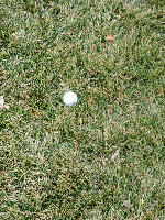 Golf Ball Detector project thumbnail