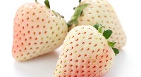 détecter-les-fraise project thumbnail