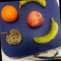 Dataset Image