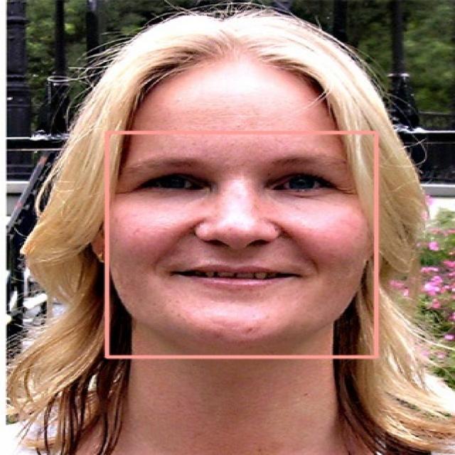 person_face Object Detection Dataset by jchc