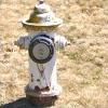 a fire hydrant project thumbnail