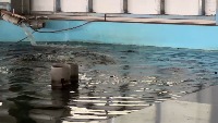 FishFarm project thumbnail