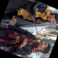 Dataset Image