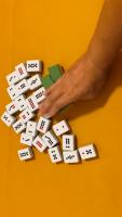 Mahjong-Tracker project thumbnail