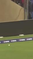 Cricket project thumbnail