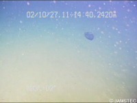 Trash_WWPF_enhanced project thumbnail