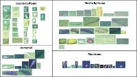 Find motile epifaunas, sessile epifaunas, demersals, planktonics and 's project thumbnail