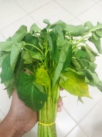 Kangkong project thumbnail